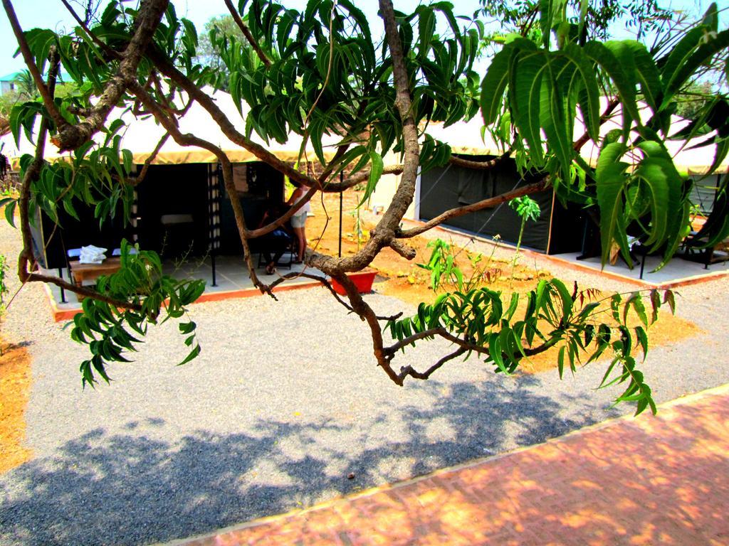 Bohemyan Blue Stay Alibaug Extérieur photo