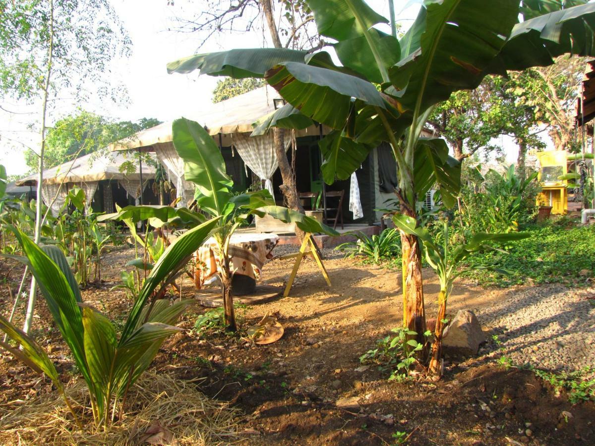 Bohemyan Blue Stay Alibaug Extérieur photo
